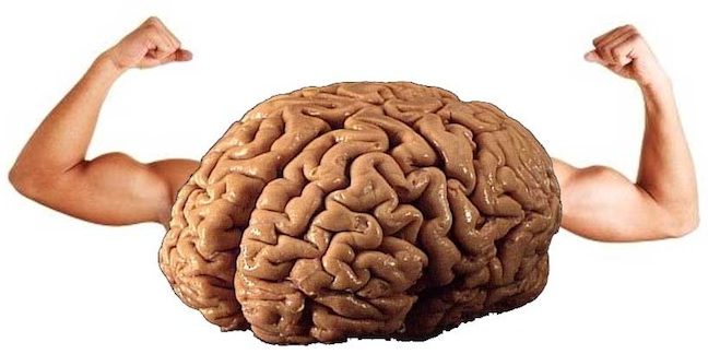 mocny mózg