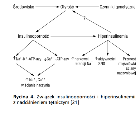 hiperinsulinemia insulinooporność