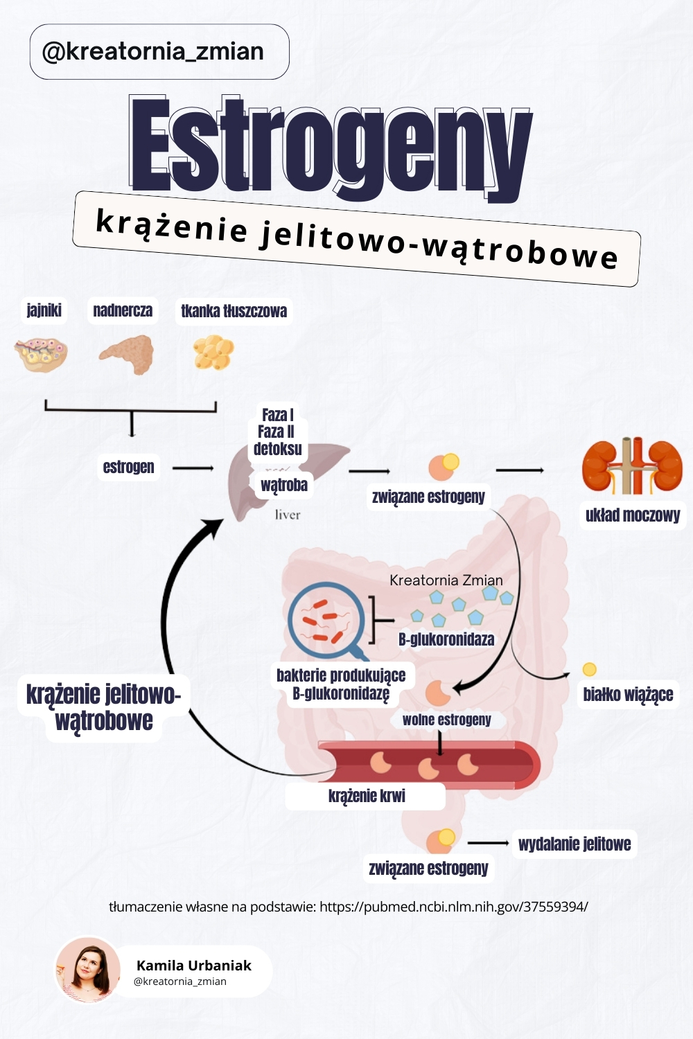 estrobolom estrogeny równowaga hormonalna dominacja estrogenowa