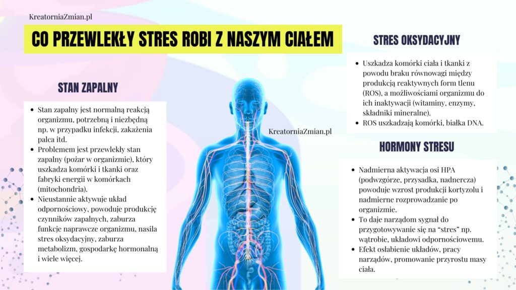 stres układ nerwowy