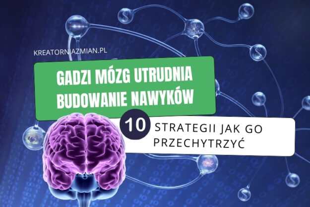 gadzi mózg nawyki gadzi mózg nawyki dieta