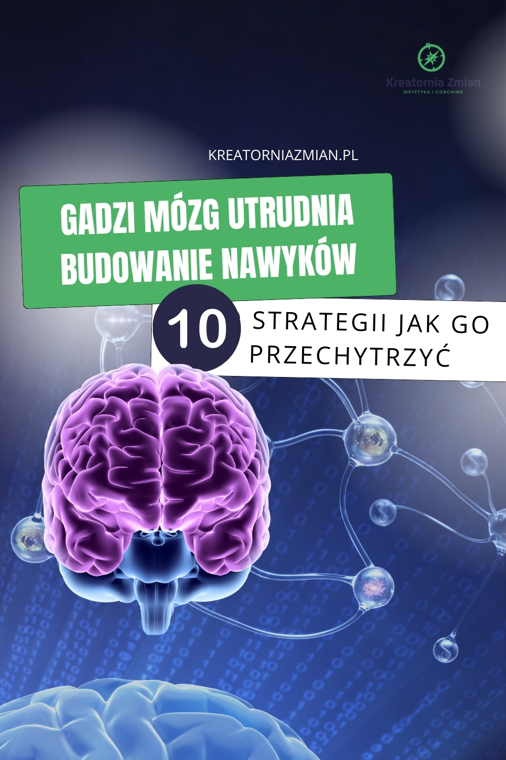 nawyki dieta gadzi mózg