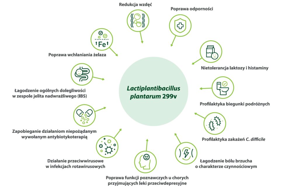Sanprobi IBS działanie