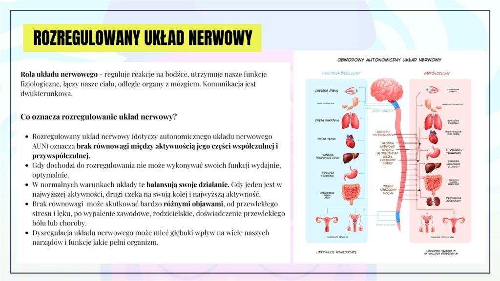 regulacja układu nerwowego dieta
