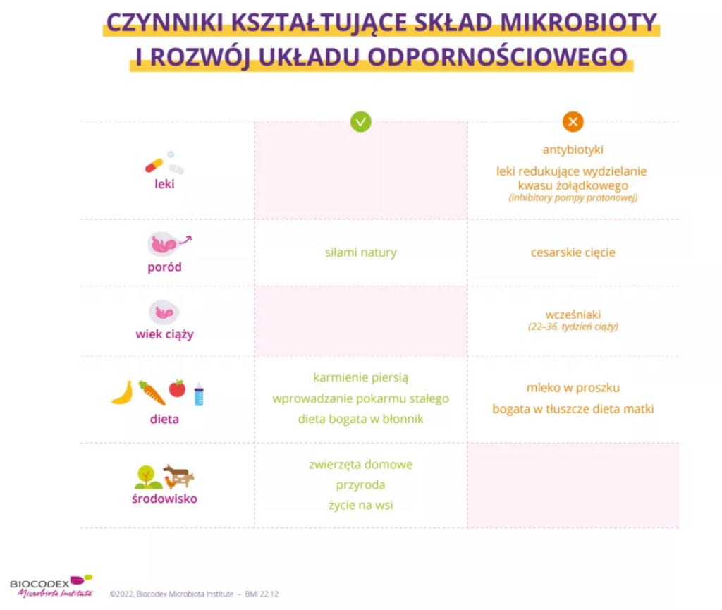 mikrobiota jelitowa rozwój