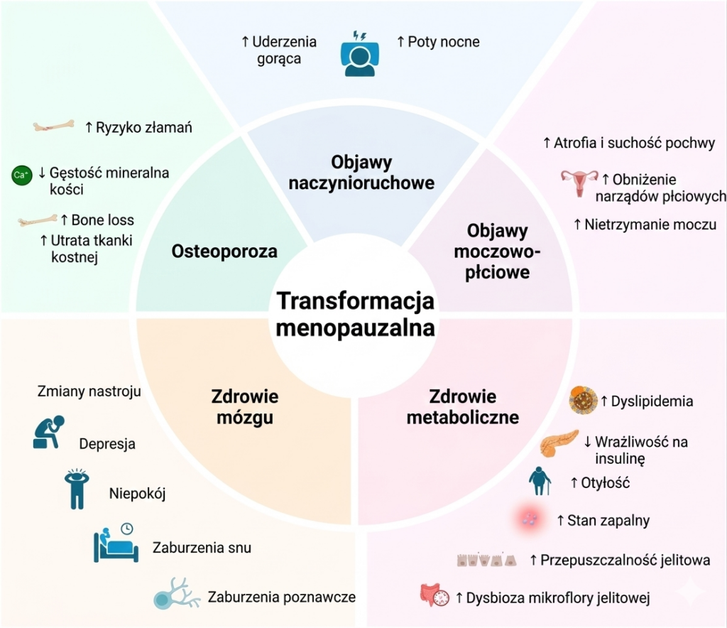 perimenopauza menopauza objawy