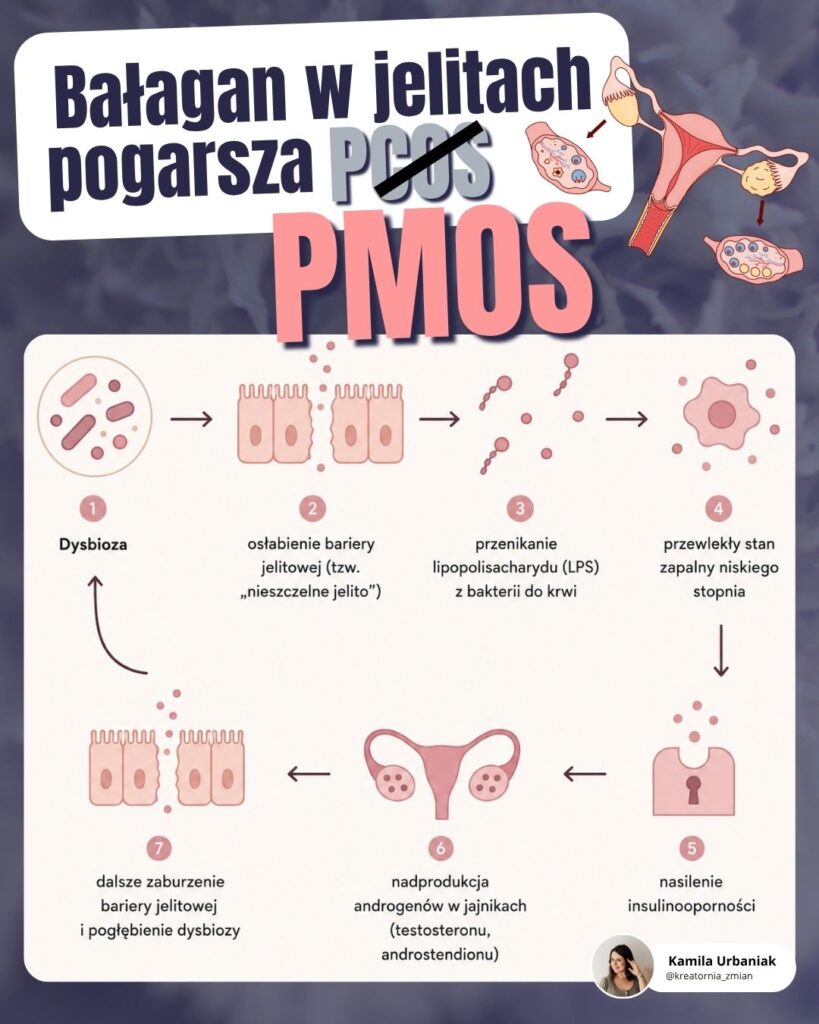 pmos probiotyki dysbioza